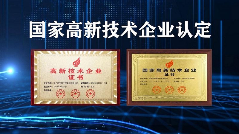 CDMO生产厂家：揭秘医药研发背后的隐形英雄