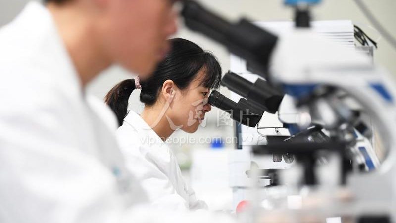 CRO数据分析流程：揭秘生物科技研发背后的关键步骤