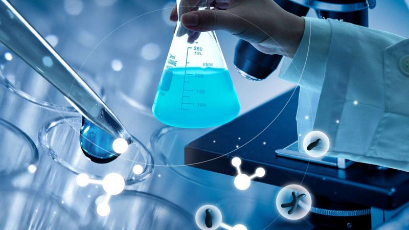 大分子CDMO：揭秘生物制药领域的“幕后英雄”**