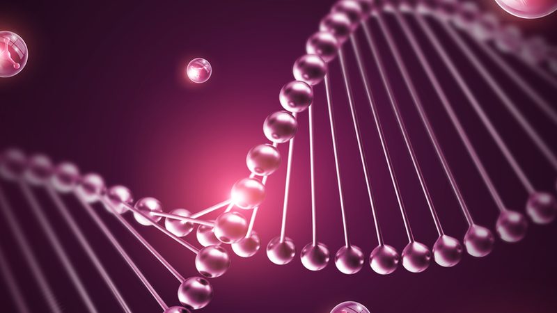 重组抗体表达外包：揭秘生物制药的关键环节**