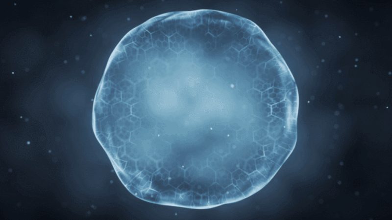 PCR仪升降温速率：揭秘影响实验结果的关键因素