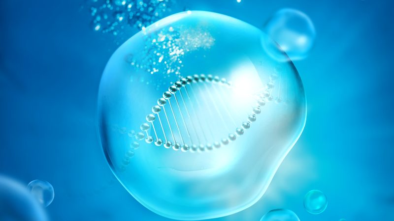 单抗类生物制品：揭秘其优缺点与行业应用**