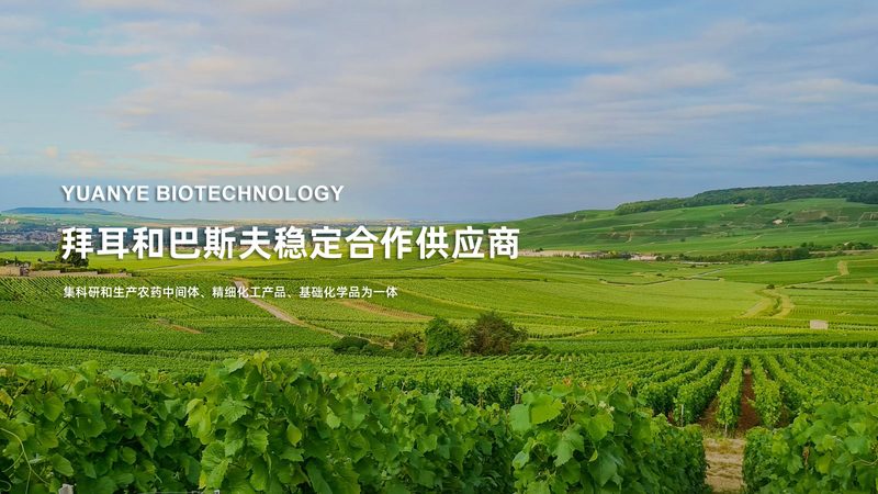 生物试剂正确使用，从图解看关键步骤**