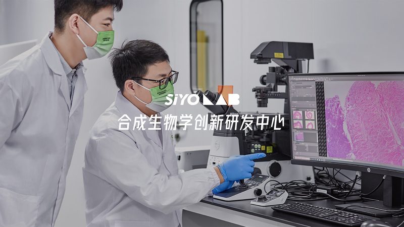 RNA提取试剂盒：揭秘其批发价格背后的秘密