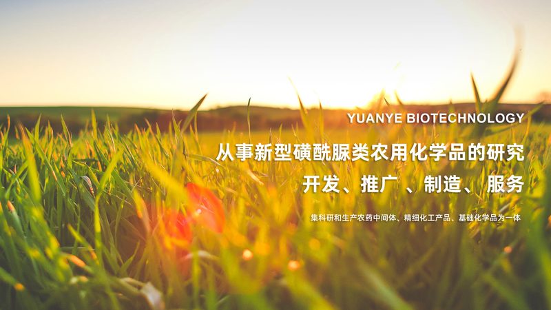 化学实验室耗材材质要求解析：揭秘实验室安全与效率的关键**