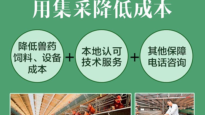 北京CRO测试工具：助力生物科技研发的利器**