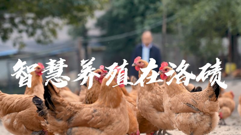 疫苗生产，如何选择可靠的合作伙伴？**