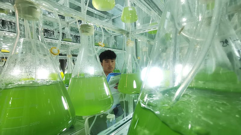 生物制品定制加工，广州供应商如何选择？**